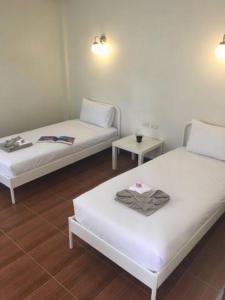 pro chill krabi guesthouse