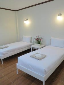 pro chill krabi guesthouse