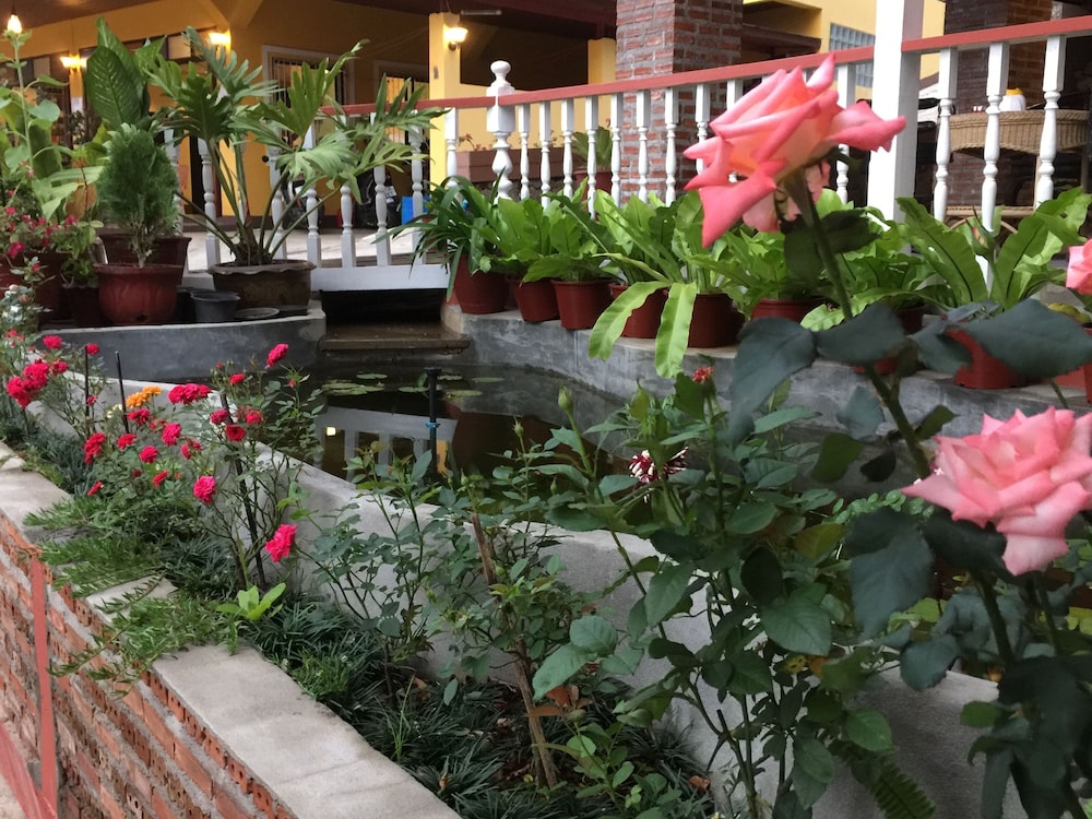 shin sane guesthouse