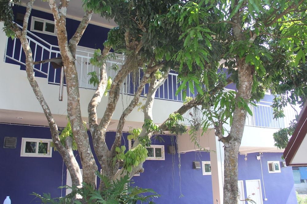 shin sane guesthouse