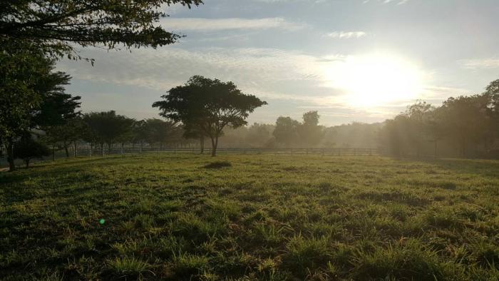 thongsathit hill resort khao yai