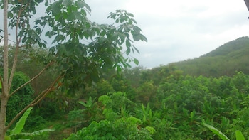 Phusambig Resort,Near Farang Beach,3 star