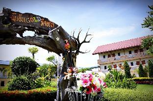 p n gold resort