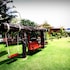 p n gold resort