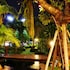 p n gold resort