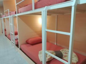 koh mook hostel