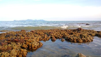 koh mook hostel