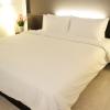 shane hotel chiangmai