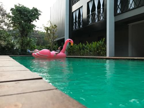 shane hotel chiangmai