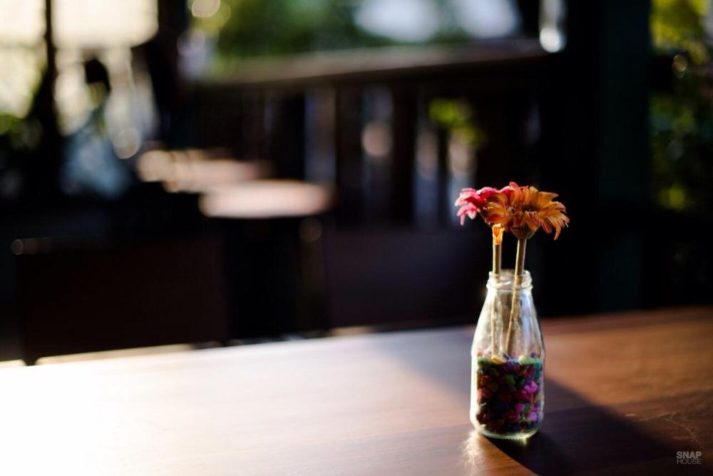 sunday j resort and restaurant