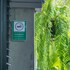 koon hotel sukhumvit