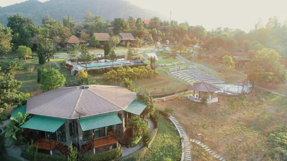 tonsilp art home
