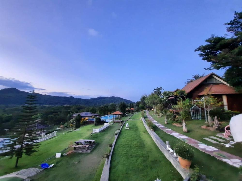 tonsilp art home