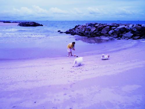 rayong