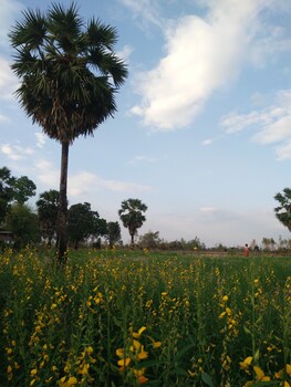 bluemoon riverside resort