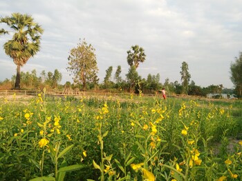 bluemoon riverside resort