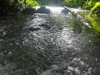 ui bai valley