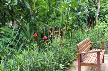 ui bai valley