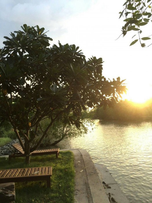 amphawa club