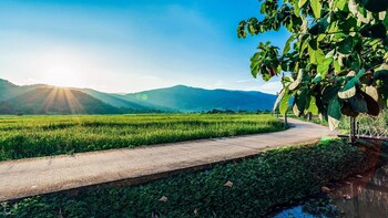 chiang rai