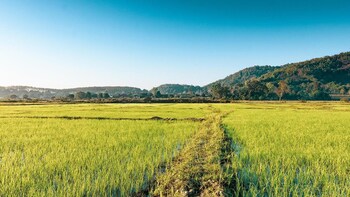 chiang rai