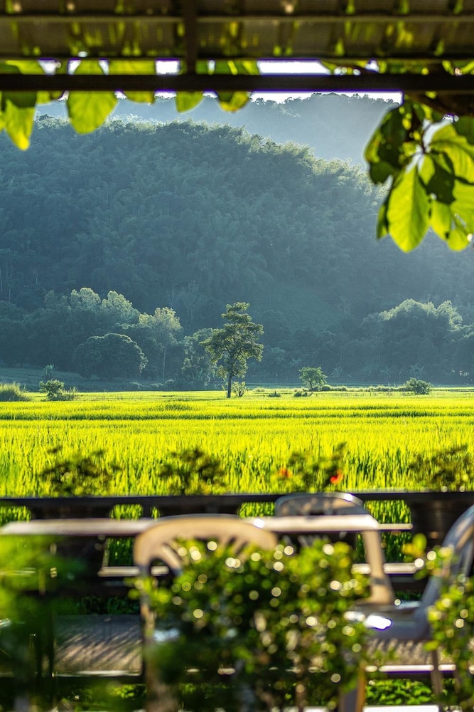 chiang rai