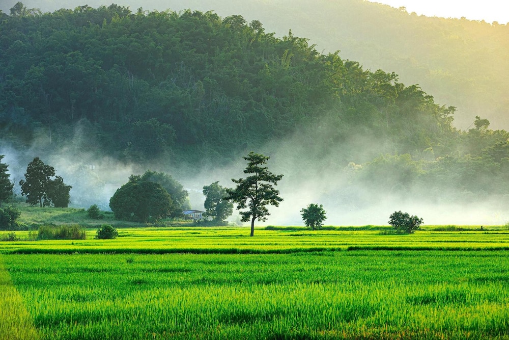 chiang rai