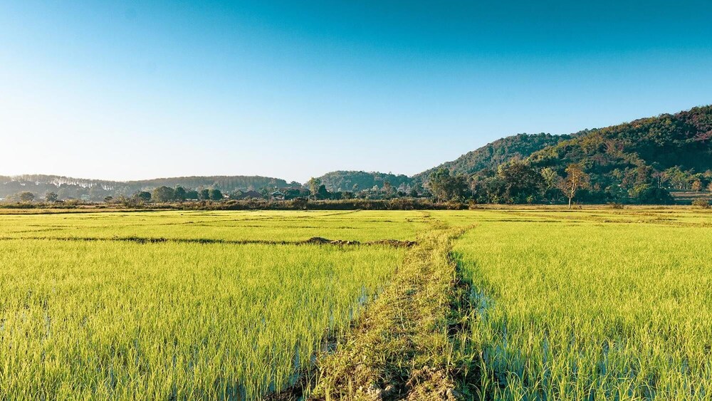chiang rai