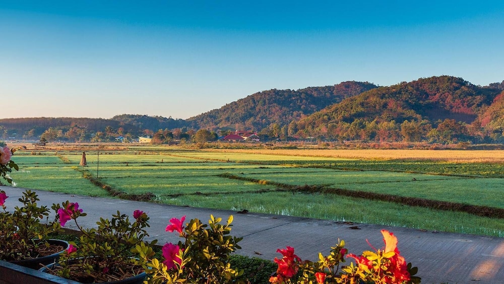 chiang rai