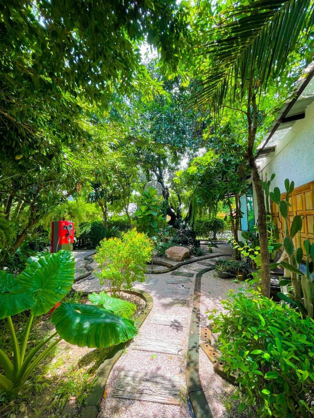 mango house resort