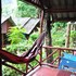 rapala rock wood resort