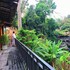 khao kho