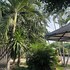 ban suan suree resort