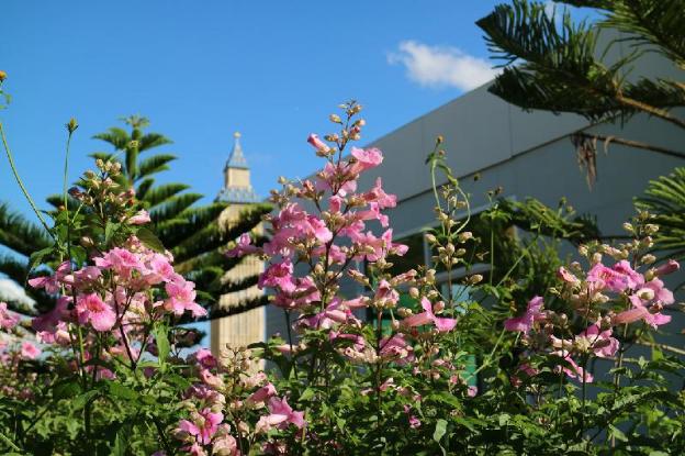 breeze hill hotel