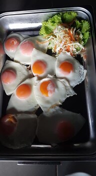 baan suan hill resort