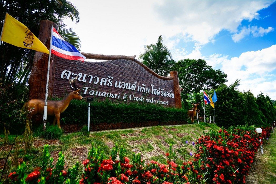 tanaosri and creekside resort