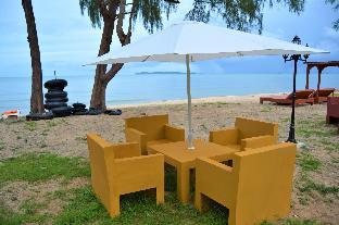 world cat hotel and resort