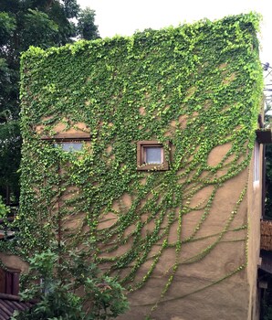 Pranberry Earth,Pak Nam Pran>>Hua Hin,4 star