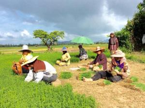 Bann Anattaya Koh Yao Noi,In The Historical District,3 star