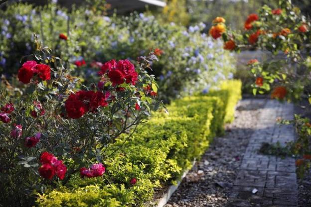 le jardin de maejo
