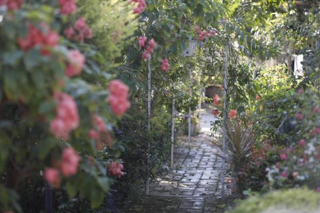 le jardin de maejo