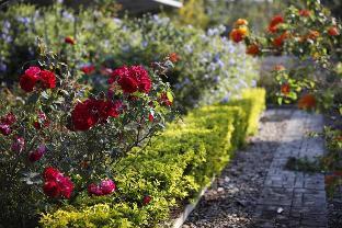 le jardin de maejo