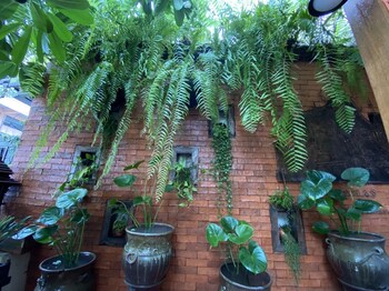 wannamas chiangmai boutique house