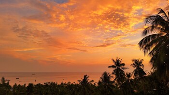 koh tao