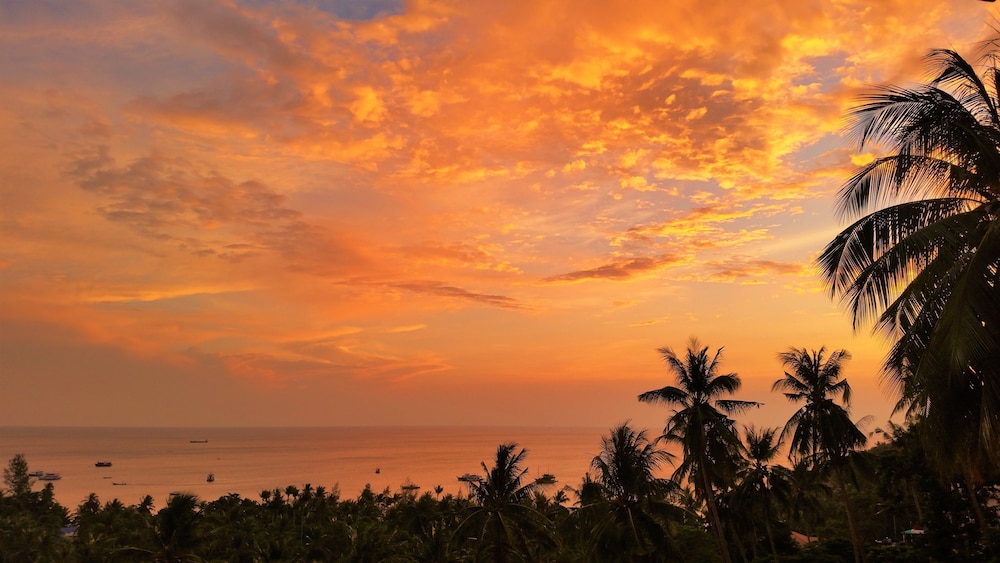 koh tao