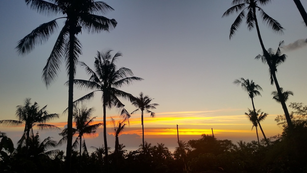 koh tao