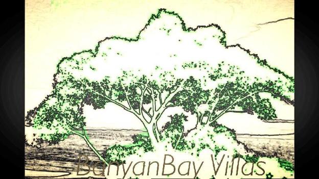 banyan bay villas
