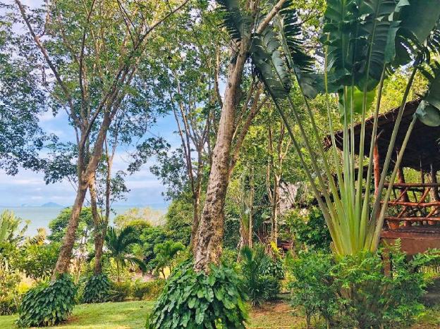 banyan bay villas