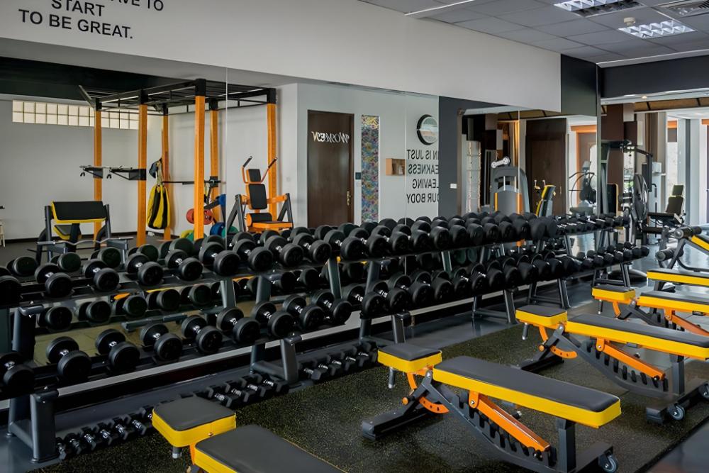 alpha gay resort adults only