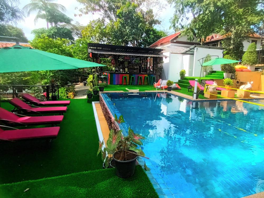 alpha gay resort adults only